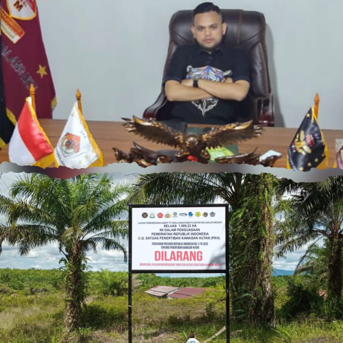 Satgas Gabungan Gempur Perkebunan Sawit Ilegal di Riau, Ketua Elang 3 Hambalang: Harus Ada Efek Jera!