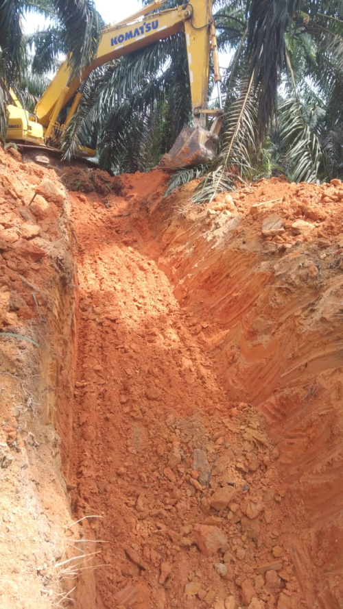Perusahaan Sawit Astra Group Lawan Pemerintah? Akses Kebun Agrinas Diputus Sepihak!