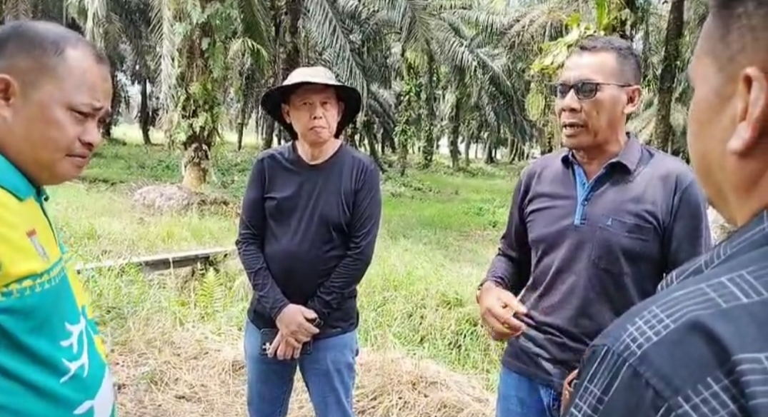 Ngaku Masih Punya Lahan, Eks Bos PT Ayau Diduga Gertak Petani -Tantang Negara, Jaksa Agung Diminta Usut TPPU Rp1 Triliun!